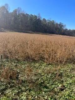Christian County KY surveyed 172 acres, home, and hunting!