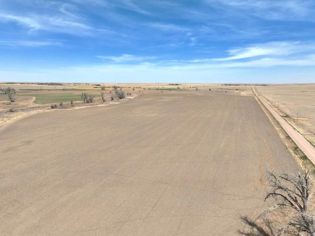 200± ACRES CROPLAND & GRASS - SHERMAN COUNTY, KANSAS