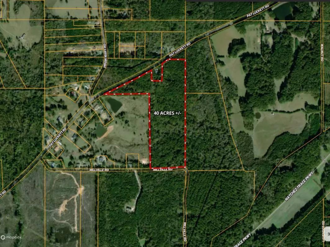 33.5 Acres +/- on Pat Luckett Rd, Canton, MS (Madison County)