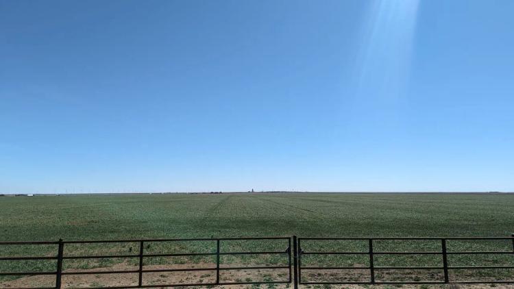 Wide open spaces to play and build close to Amarillo!