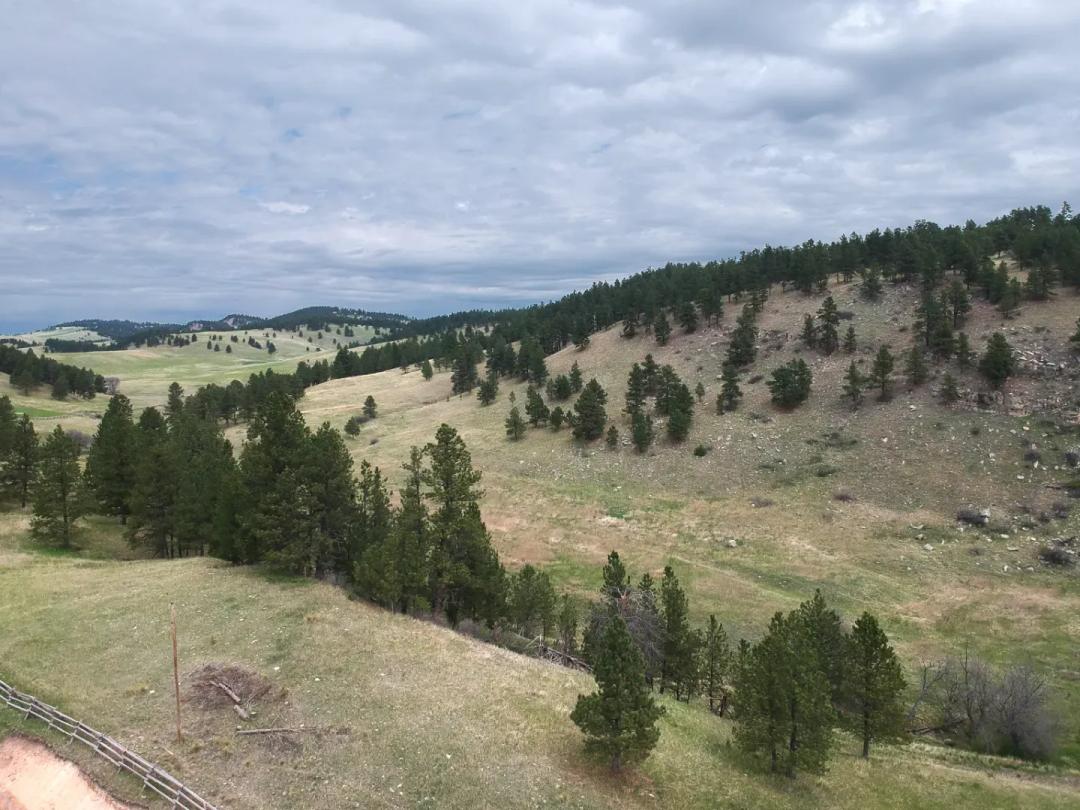 Exclusive 75 Acre Parcel 18 minutes from SD State Game Lodge in Custer State Park