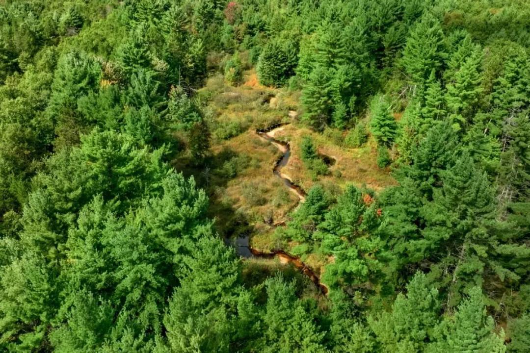 160+/- acres of Western Wisconsin hunting property Eau Claire Cty