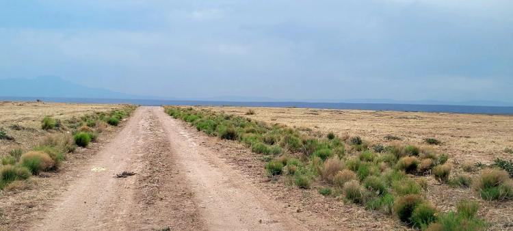 3/4-acre undeveloped Residential lot 22 miles South of Albuquerque