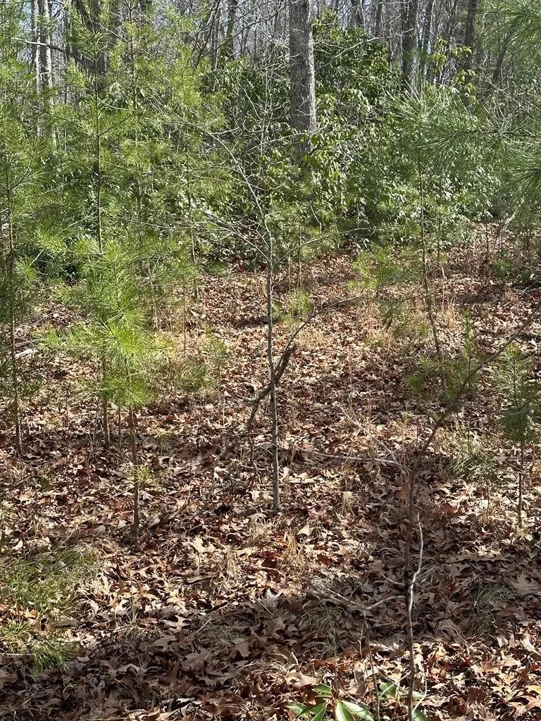 Lot 432 Valley View Circle