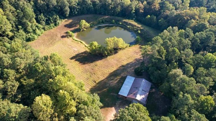 381 Acres Hunting Land for Sale in Natchez, MS