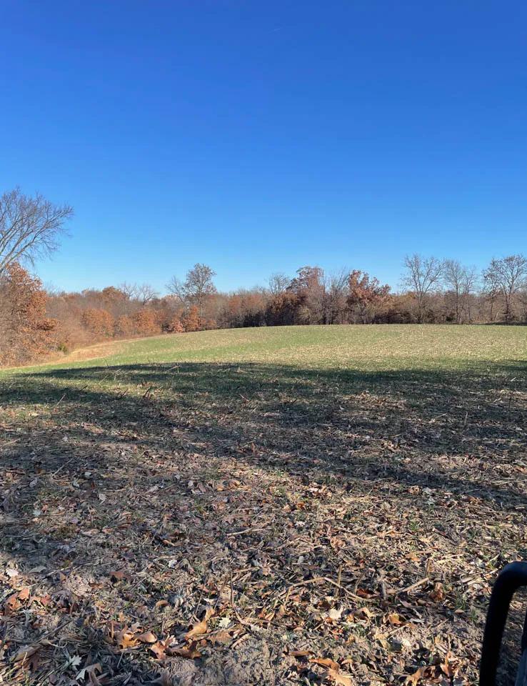Adams County, Illinois 40 Acres For Sale