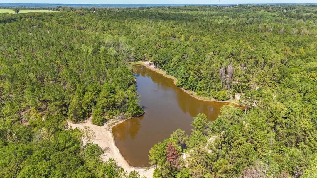 36 +/- Acres with Beautiful Pond & Excellent Hunting – Conecuh County, AL