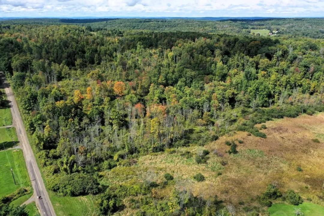 63 acre Recreational and Hunting Property in Caton NY Cheese Factory Rd