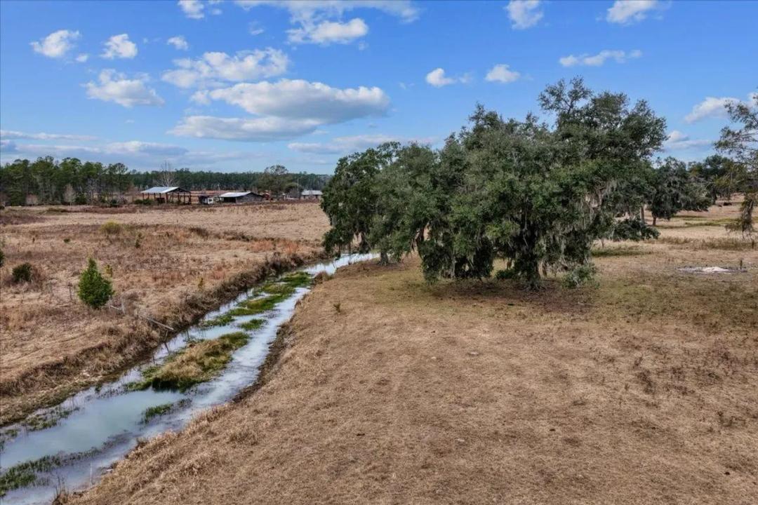 Salt Rd Organic Cattle Farm