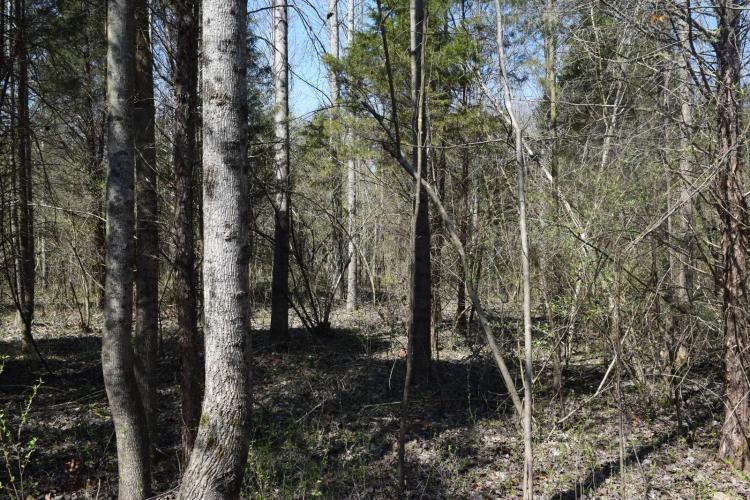 3.70 Acres at 0000000 Sawmill Rd