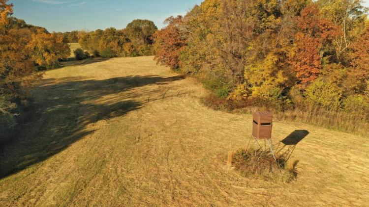 Martha's Ridge Tract 3 - 130 Acres Land for Sale Arkansas