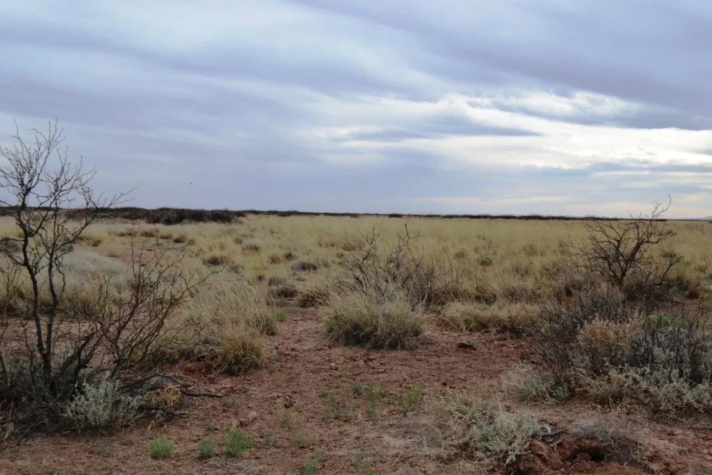 1 acre of Classic New Mexico Desert with Mountain Views