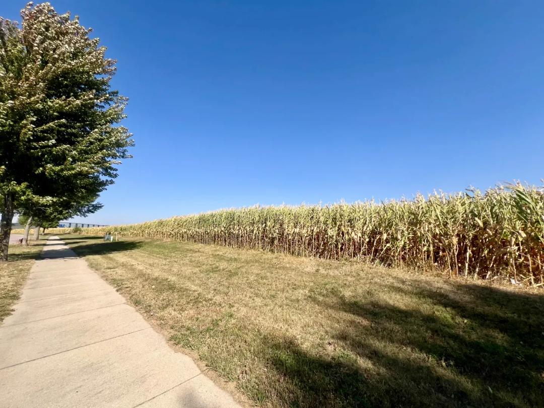 Somsen Street Development Opportunity