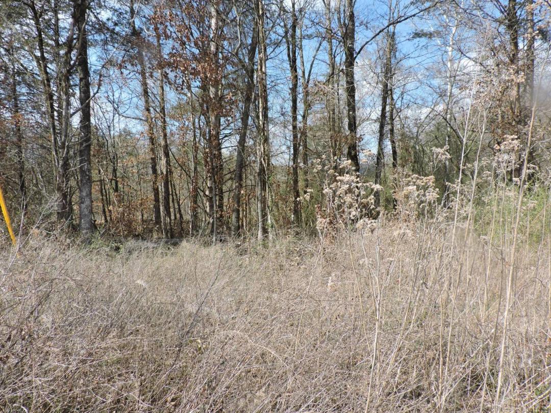 11 Acres in Cedar Creek Community
