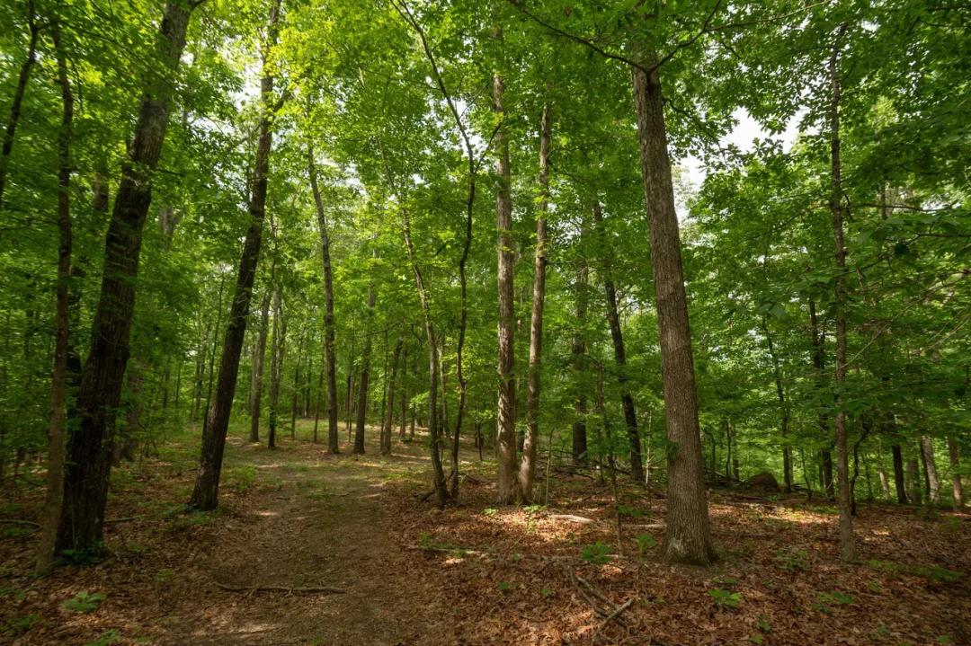 40+/- Private Acres with Prime Hunting Opportunities in Wayne Co.