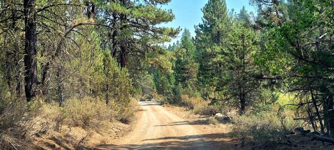 Forest and park like settings - Spacious Corner Lot - Oregon