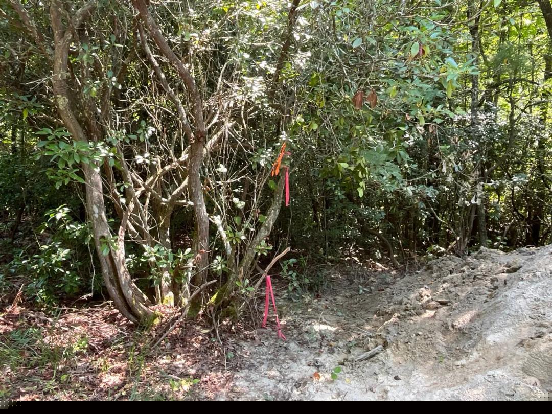 0.65 Acres at 9999 Erwin Hill Dr