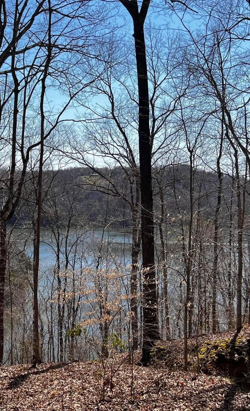 Two (2) Lake View Lots