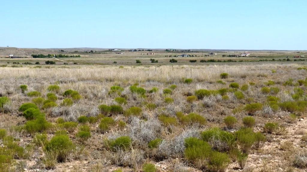5 acres Chaves County New Mexico