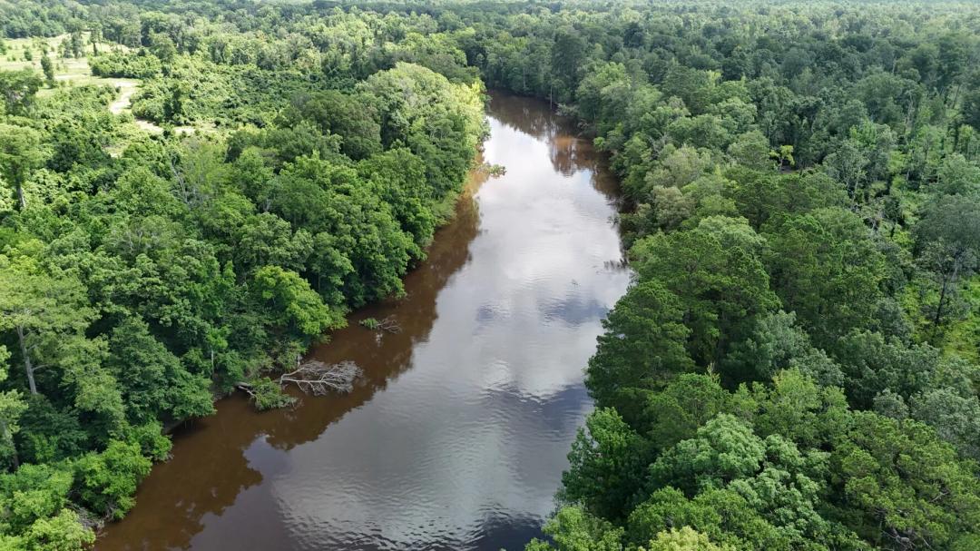 65.00 Acres at 0 County Road 332
