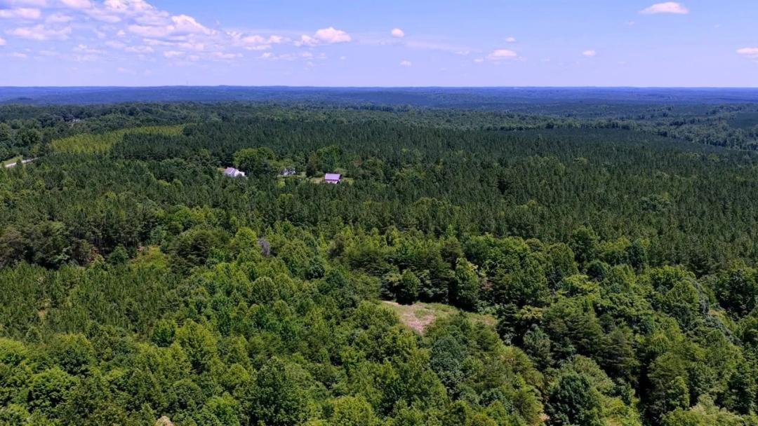 150.00 Acres at 0 Corner Rd- 150 Ac