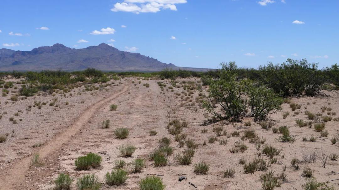 Sunny southern New Mexico * Camp RV Build * Mobiles Modulars allowed
