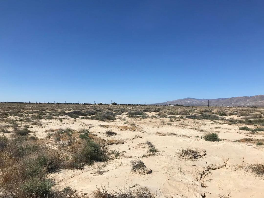 #L100132/ 20.22 Acres in Kern County, CA