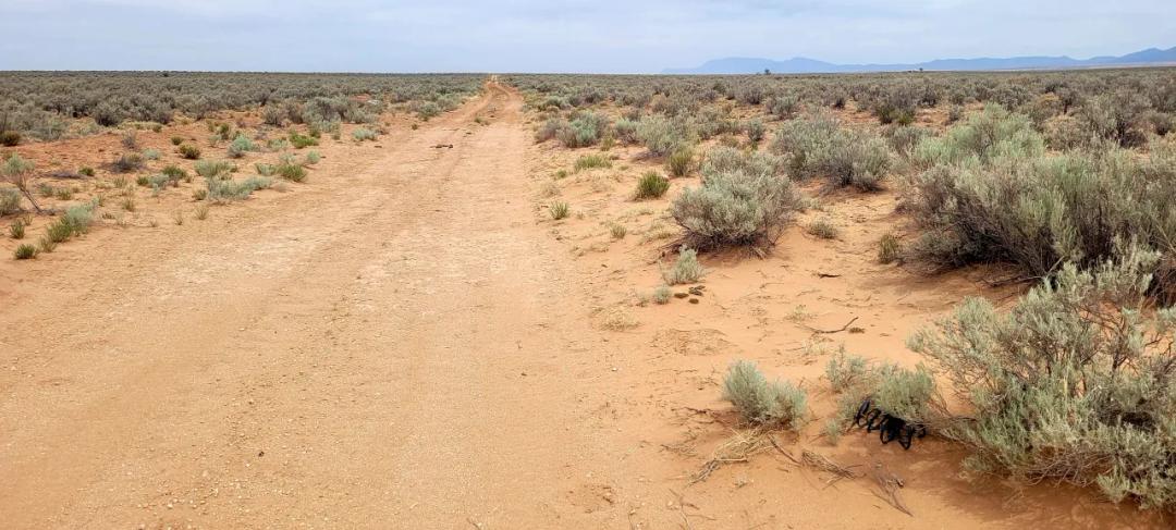 Rio Grande Estates 1/2 acre on Turbine Road. South of Albq.