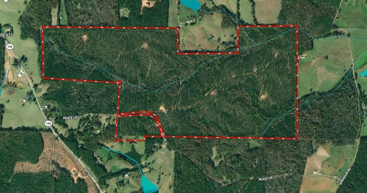 Timber Tract Central Heard County