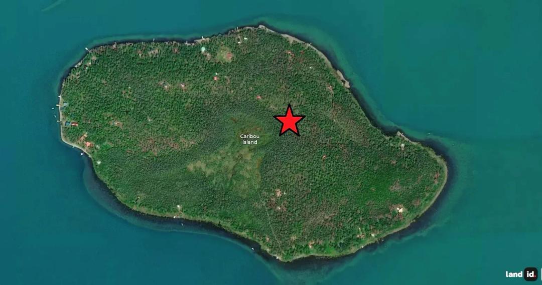 Caribou Island Lot - Nearly 3/4 Acre - On Proposed Air Strip