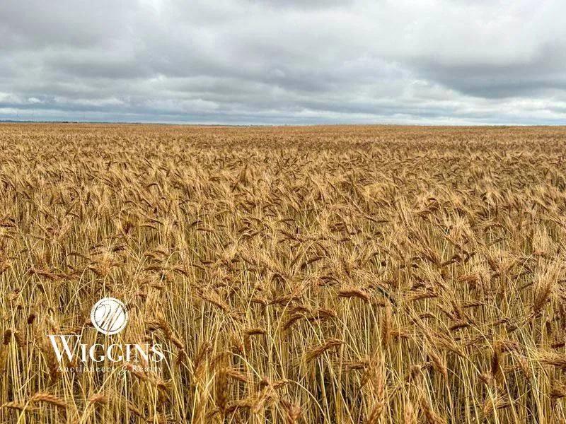 3 Garfield Co., OK Farms | 316 +/- Total Acres | Drummond, OK