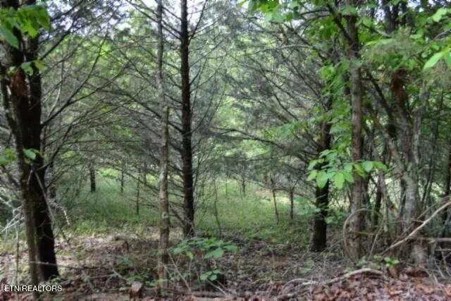 Property from 9ac Circle Road Rd - KW