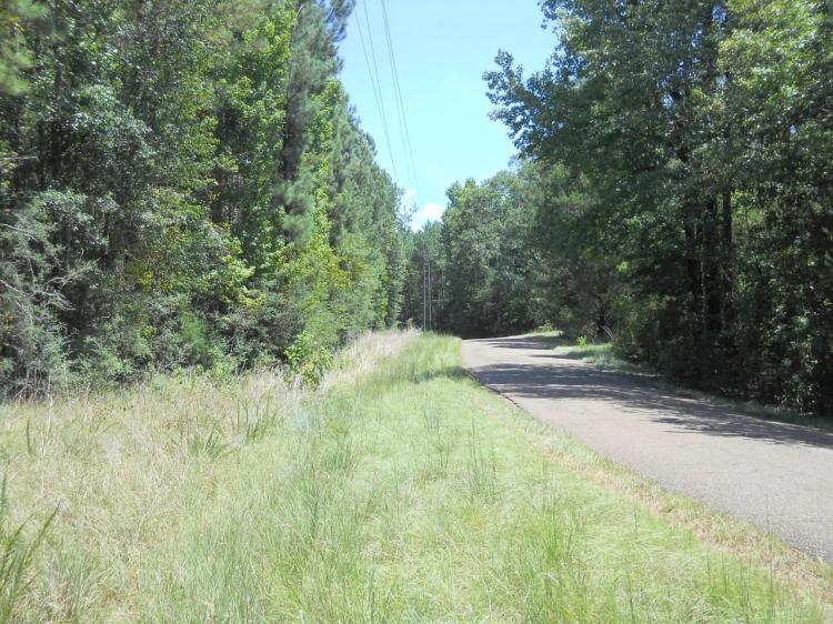 6.385 +/- Acre Beautiful Housesite/Campsite in Franklin County, MS