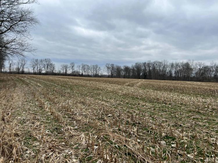 41.87 Acres at 0 Measley Ridge Rd
