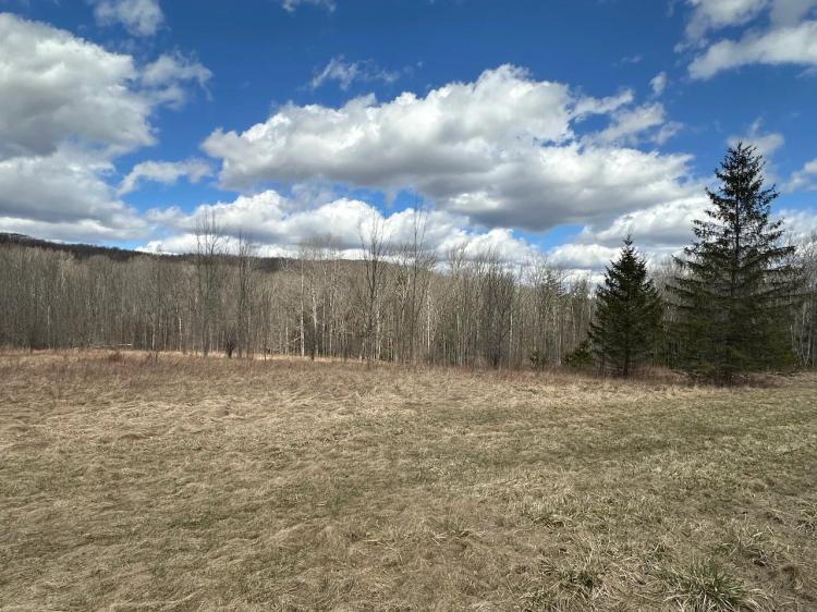 10 acres Recreational Land and Hunting Land in Grove NY County Road 15b with Financing Available