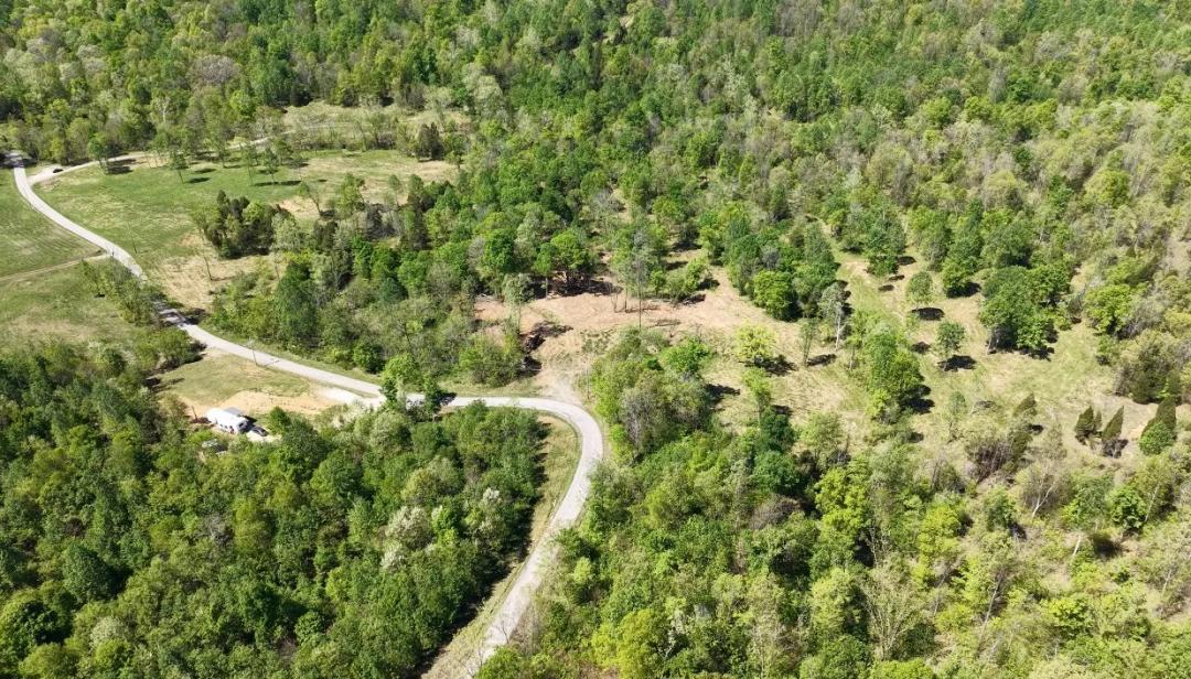 A Rare Kentucky Property: Water, Woods & Wide‑Open Potential