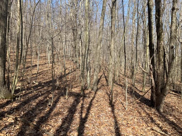 14 acre Hillside Property in Broome County NY