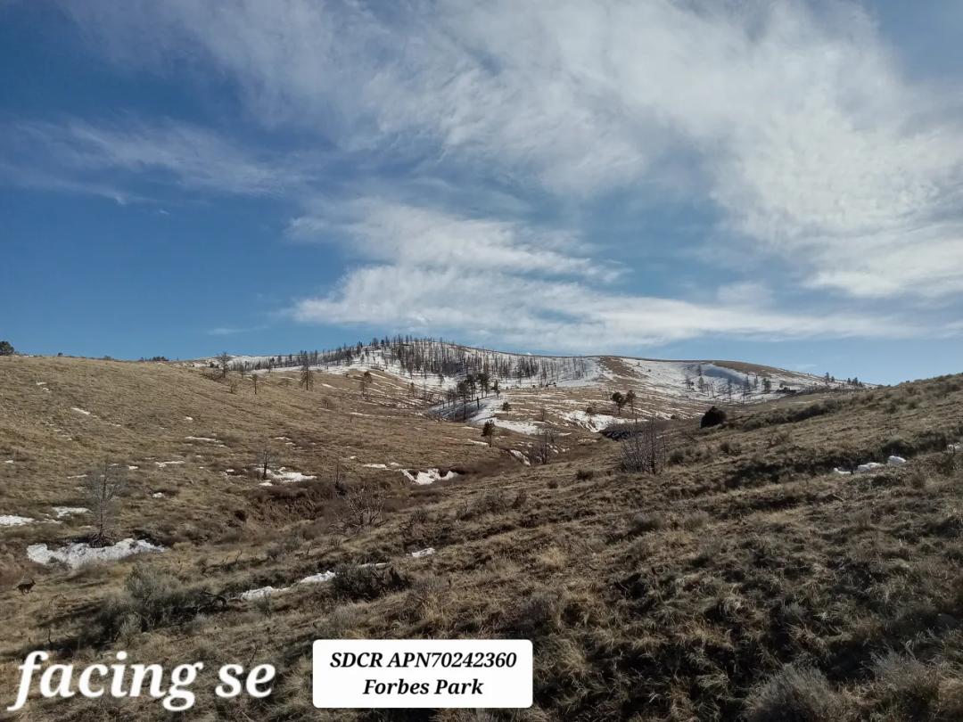 Incredible Views - Wet Weather Creek - Fort Garland Colorado