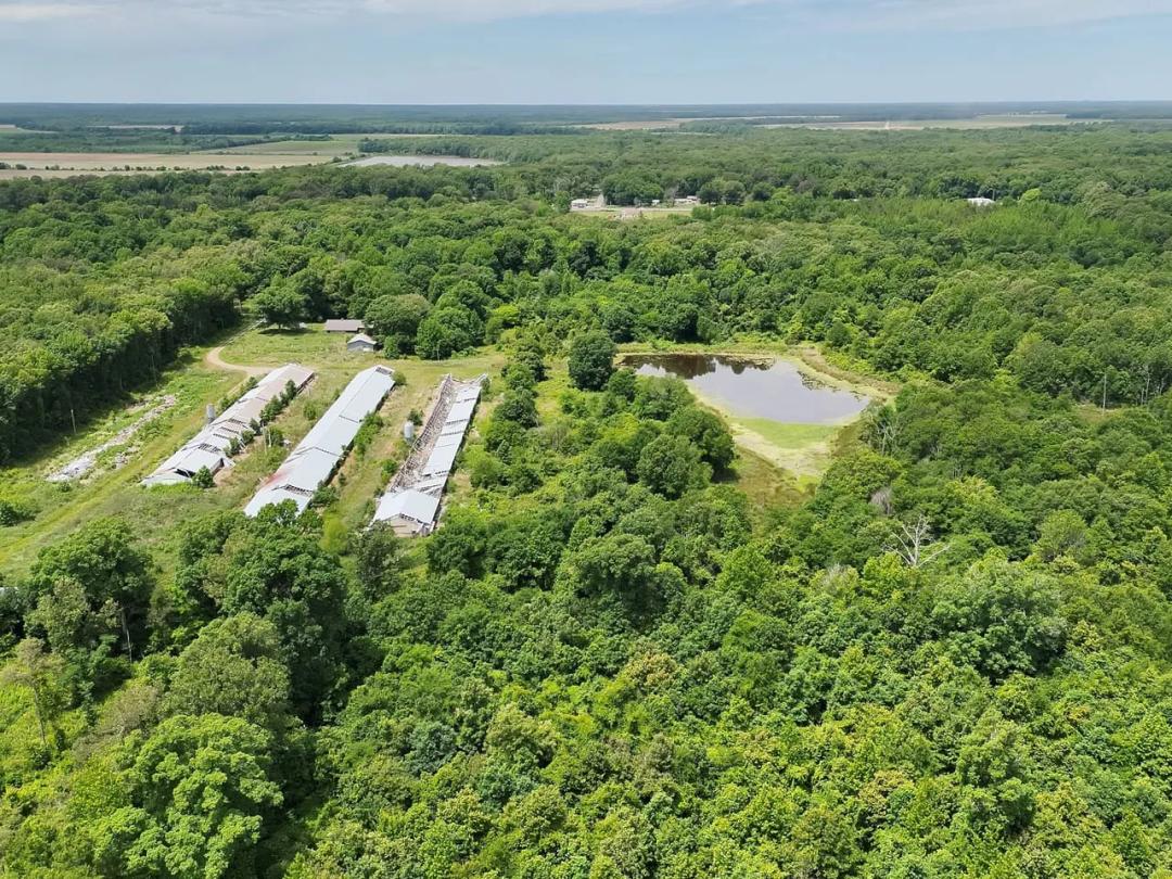 INVESTMENT PROPERTY, 50 Acres, Jefferson County, AR