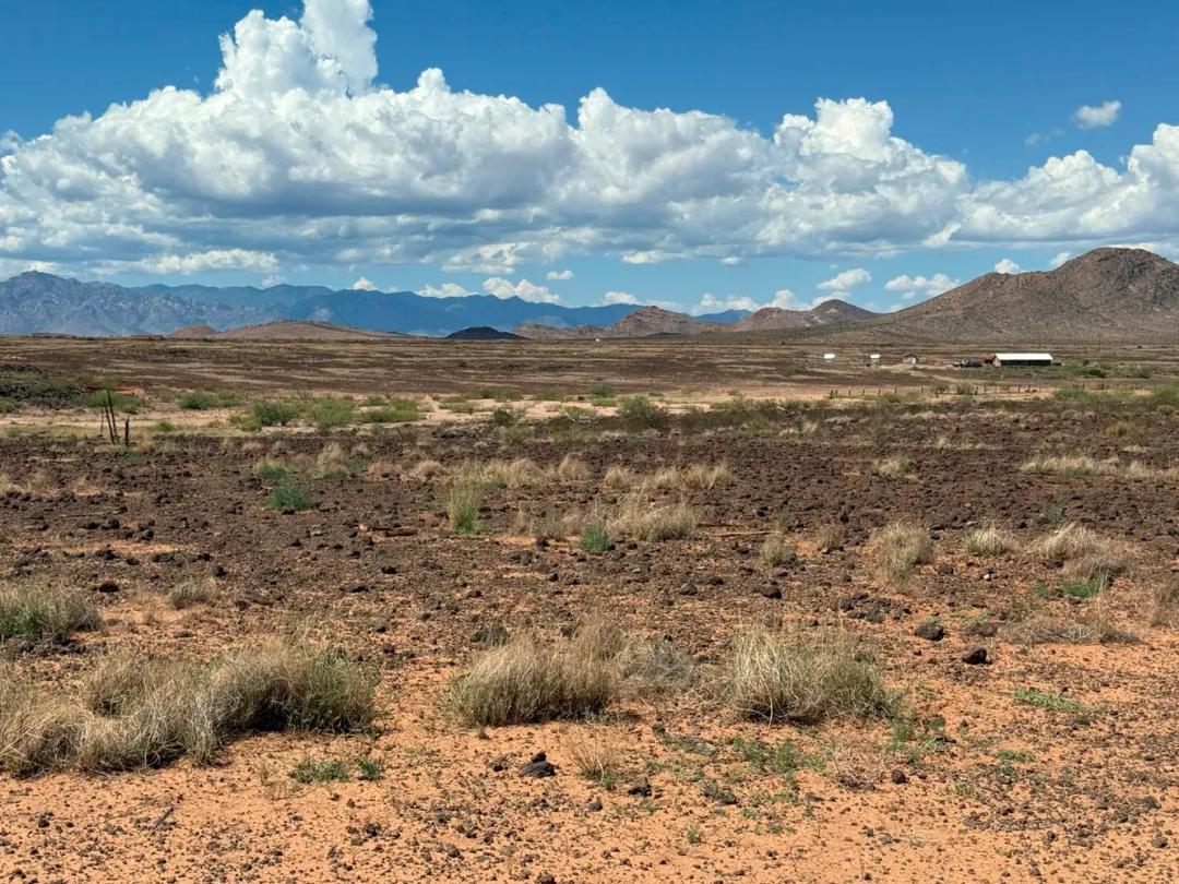 Nearly Four Acres Just North of State HWY 9 West of Animas - Secluded