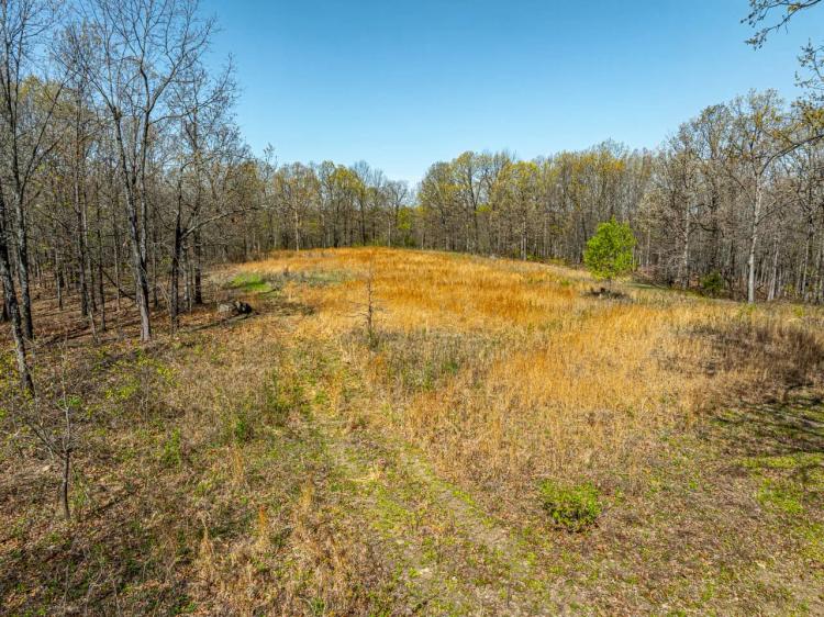 200+/- Hunting Acres, Wooded, Creek, Pond, Sharp County, Arkansas