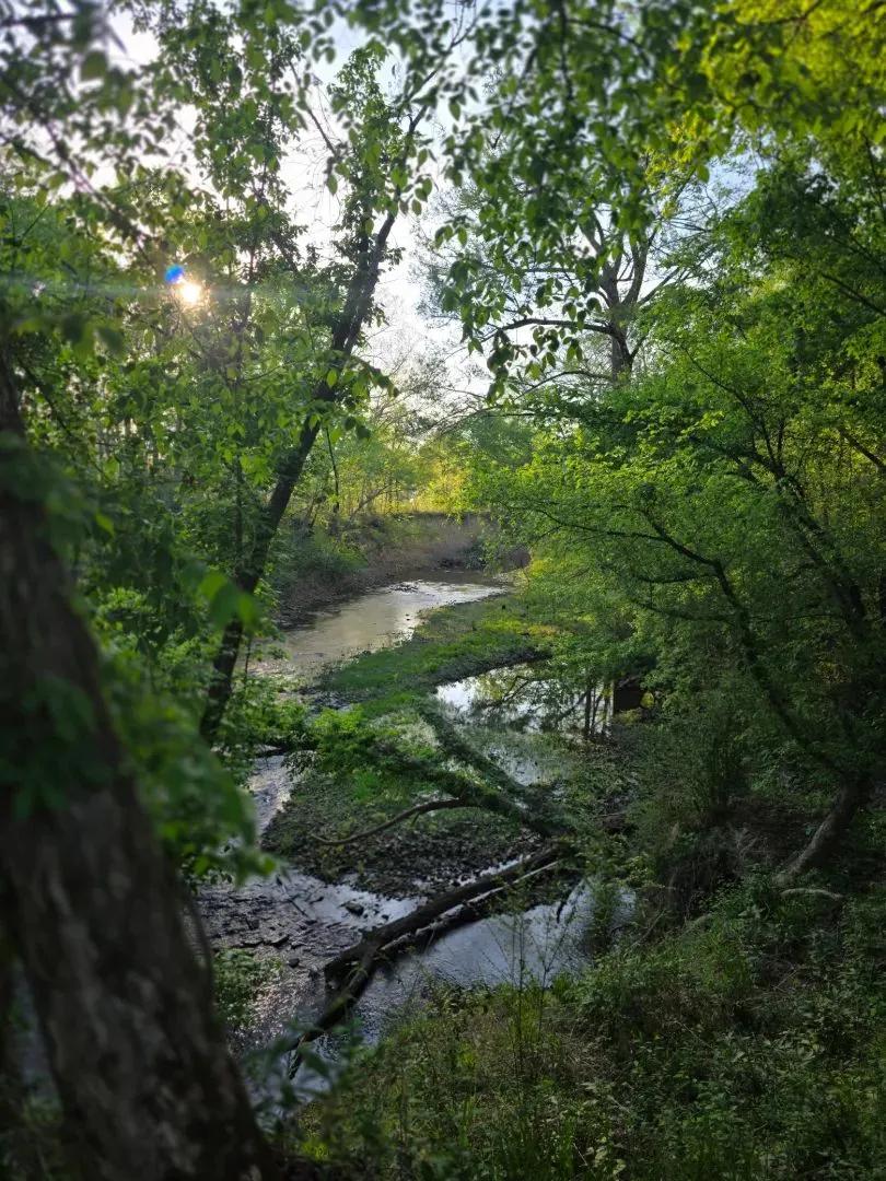 6.21 Acres in Cleburne County, AR