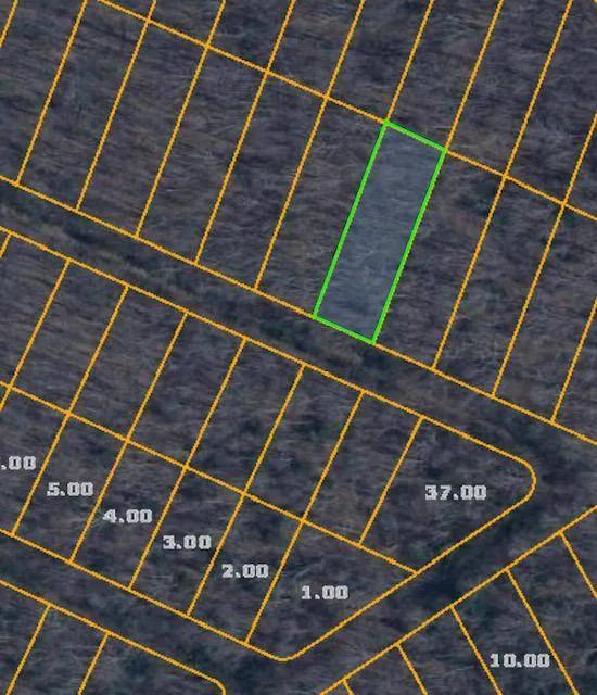 0.24 Acres at Lot 99 Narcissa Dr