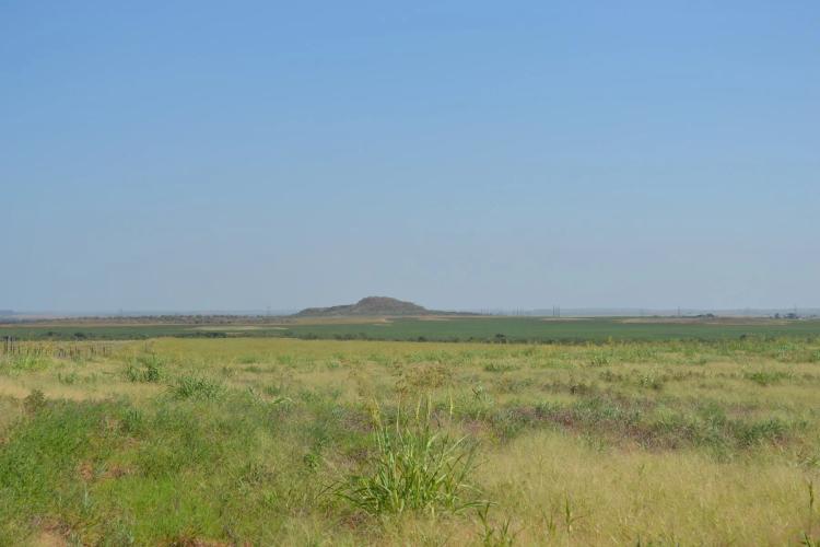 HUNTING PROPERTY LAND FOR SALE ESTELLINE TEXAS REALTREE
