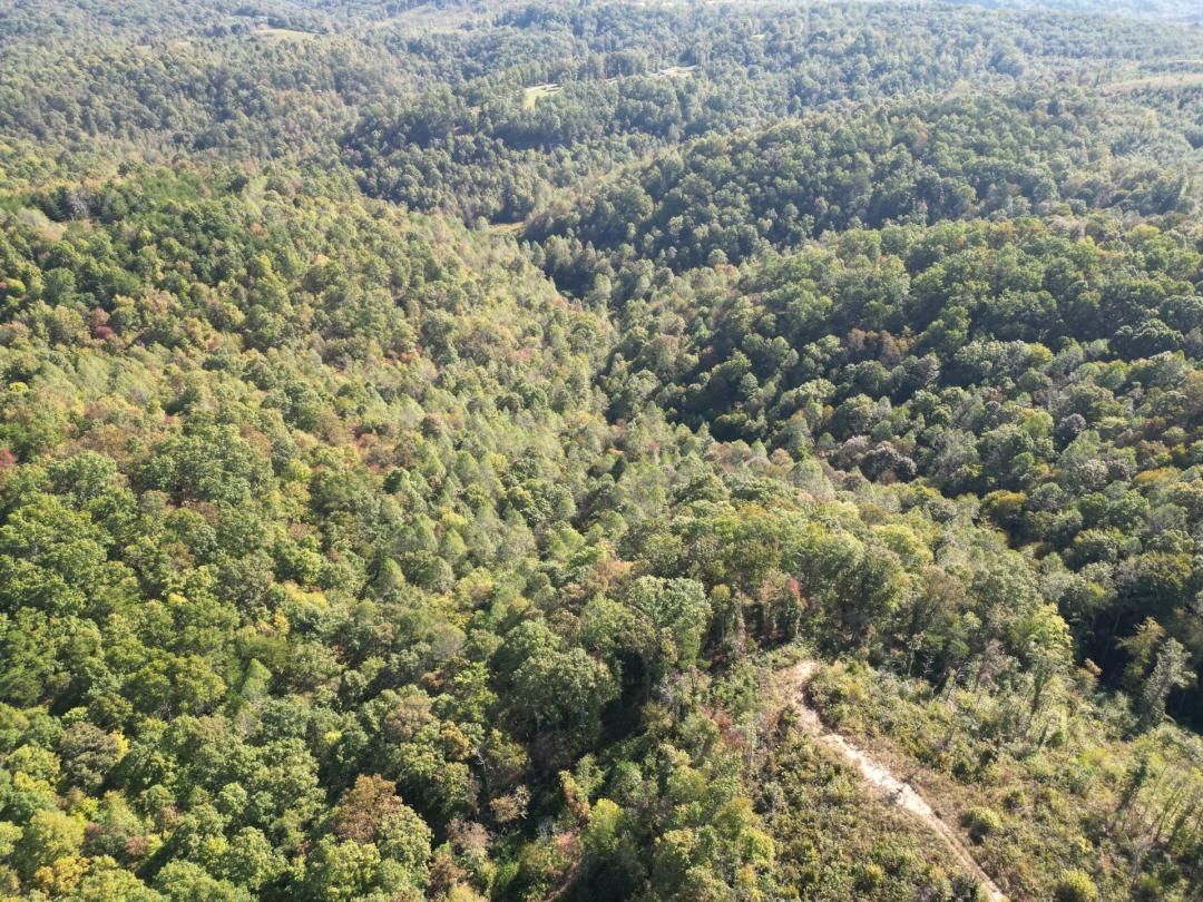 Wildcat Tract 55