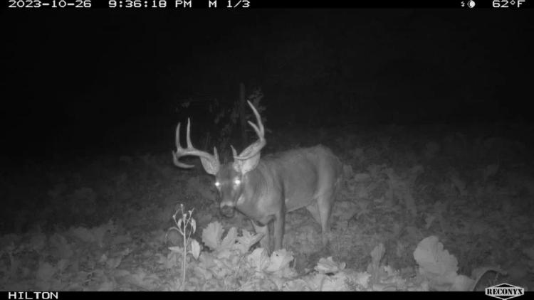 Trophy Whitetail Hunting Land for Sale in Richland County, Wisconsin