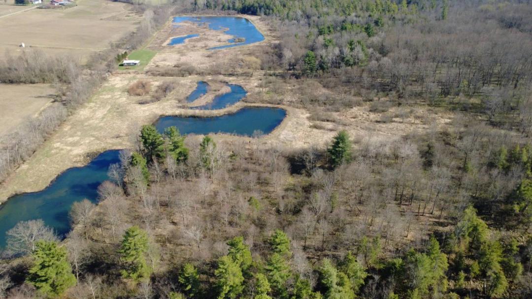 Waterfowl, Wildlife & Fishing Mecca w/ Ponds & Creek