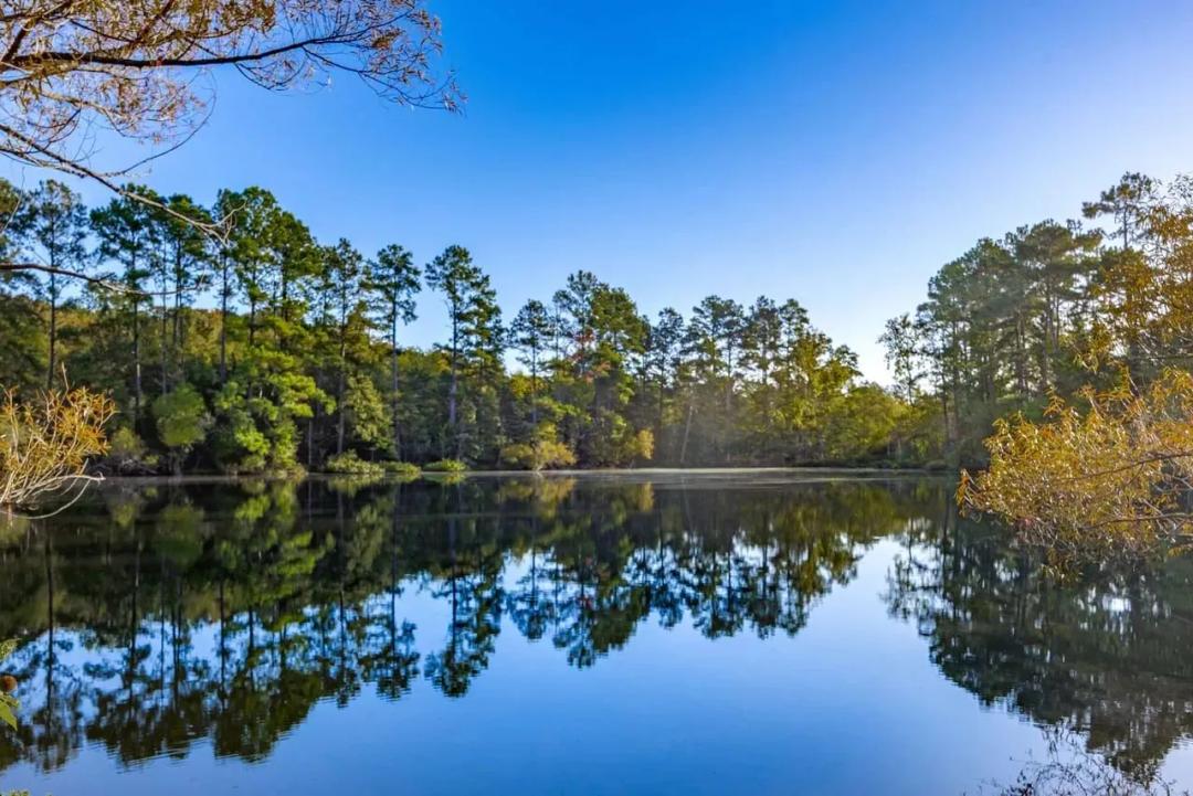 Springwood Lakes Tract 1