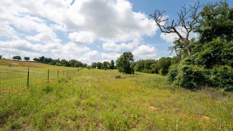 14.41 Acres in Milam County