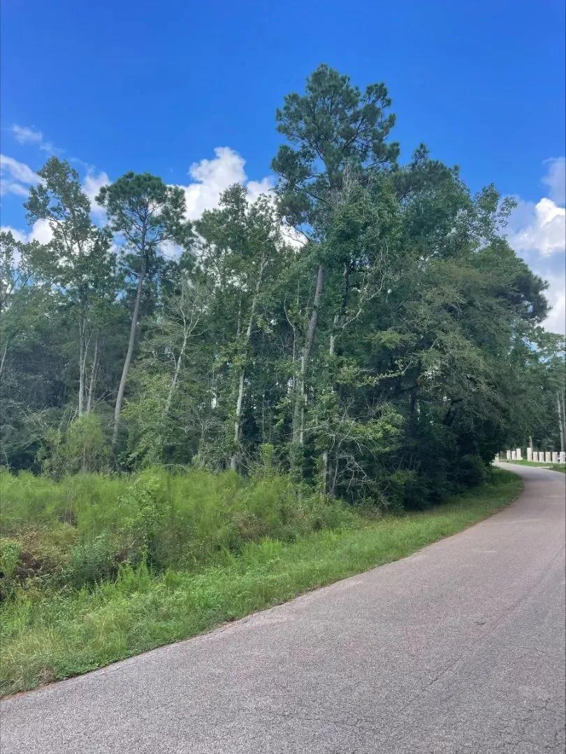 Magnolia Bend Lot